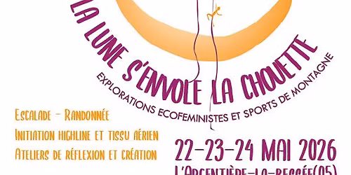 Sous la lune s'envole la chouette