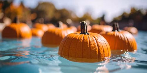 Pumpkin Pool-Ooza