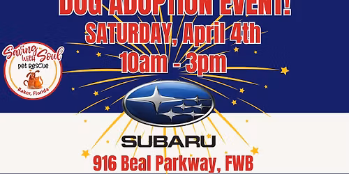 Dog Adoption Event at Subaru in FWB!