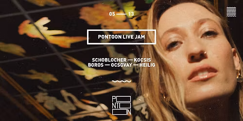 Pontoon Live Jam | Schoblocher ~ Kocsis ~ Boros ~ Ocsovay ~ Heilig