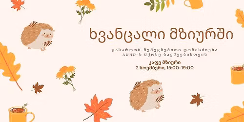 \u10ee\u10d5\u10d0\u10dc\u10ea\u10d0\u10da\u10d8 \u10db\u10d6\u10d8\u10e3\u10e0\u10e8\u10d8 - ADHD-\u10e1 \u10db\u10e5\u10dd\u10dc\u10d4 \u10d1\u10d0\u10d5\u10e8\u10d5\u10d4\u10d1\u10d8\u10e1\u10d7\u10d5\u10d8\u10e1