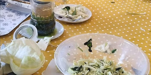 Gardening Lady Foraging and Fermentation Workshop