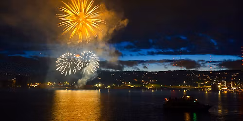 Fireworks Cruise on the Vista Fleet