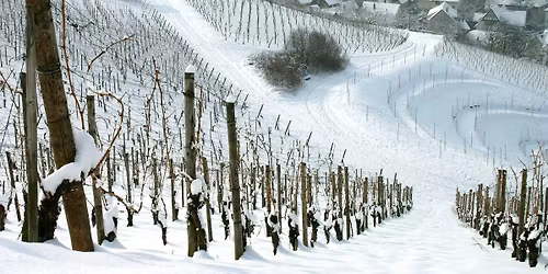 🍷 Uformell Vinsmaking – Julens smaker fra Rhône