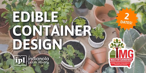 Edible Container Design