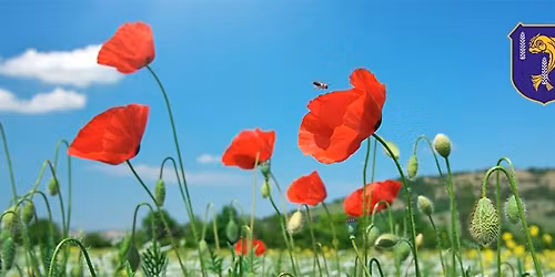 Remembrance Sunday - John Fisher Chapel