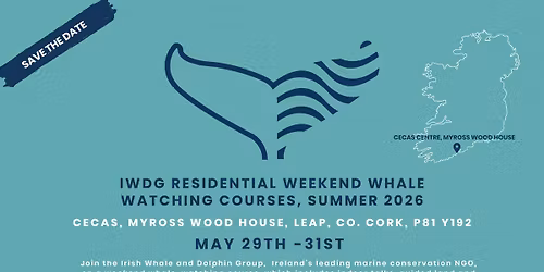 Weekend Whale Watching Course, West Cork, May 29-31st, 2026