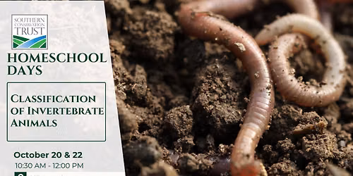 October 22nd Homeschool Days: Classification of Invertebrate Animals