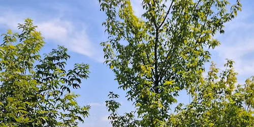 Wycieczka piesza 60+ z PTTK - Bydgoski Ogr\u00f3d Botaniczny 
