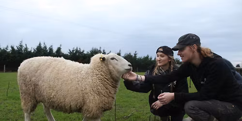 Fun Volunteer Trip to Friend Farmed Animal Sanctuary 