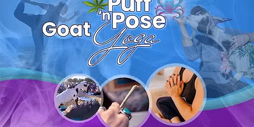 Puff n Pose Goat Yoga @ Mo Growing