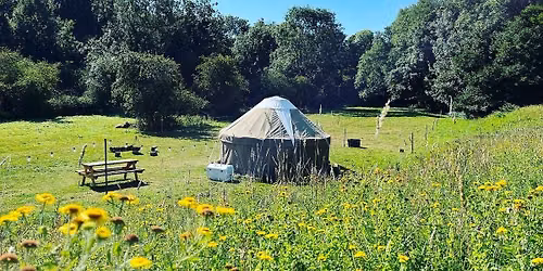 TREC Glamping Weekend (all levels)