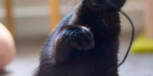 Fresh Start New Team Fundraising Raffle