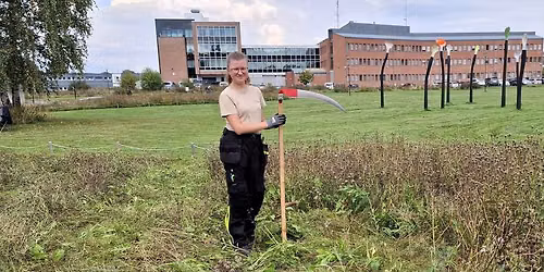 Drop-in Sl\u00e5ttedag i Pollinator-Parkene