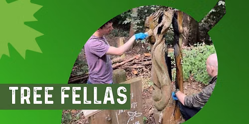 Tree Fellas at Irchester Country Park