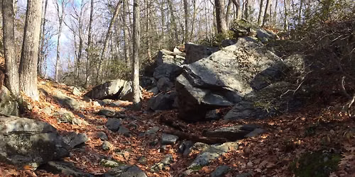 Tunxis Trail Races