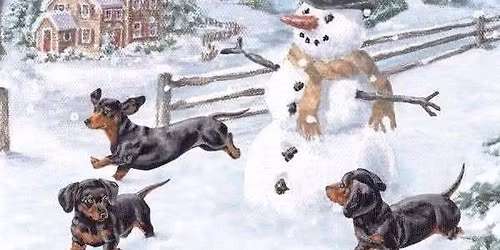 WIENERAMA WINTER MEET-UP