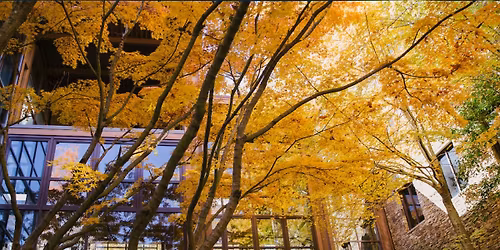 School of Public Health Homecoming Tailgate