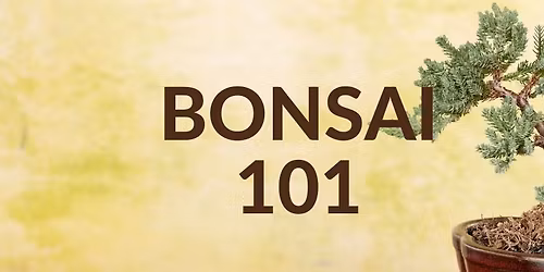 Bonsai 101 Workshop