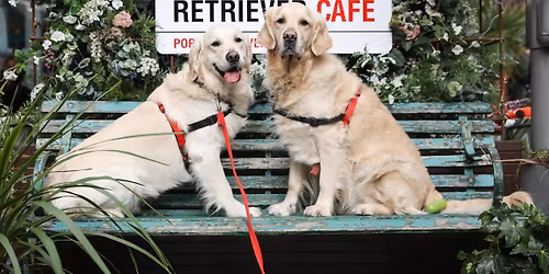 GOLDEN RETRIEVER CAFE - DURHAM