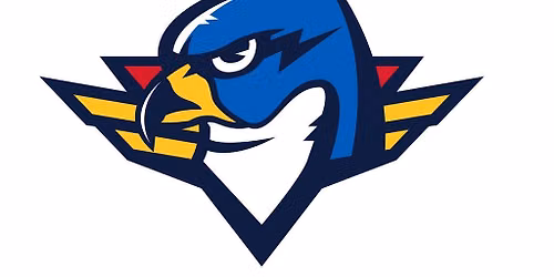 Springfield Thunderbirds vs. Hartford Wolfpack