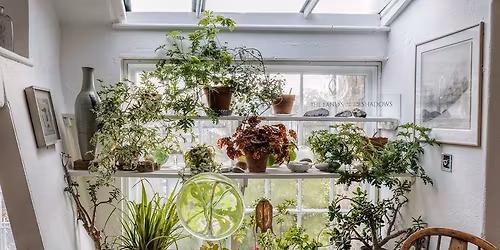 Lunchtime Talk: Sustainability, Care, and Art Galleries