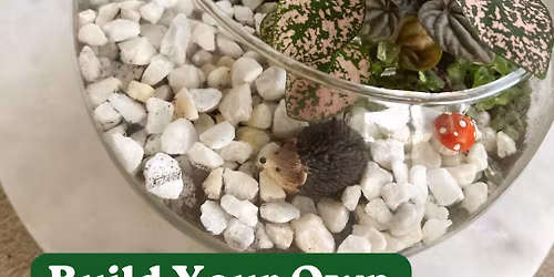 Build Your Own Terrarium