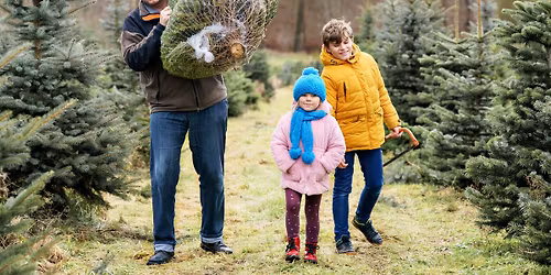 Weihnachtsbaum Event