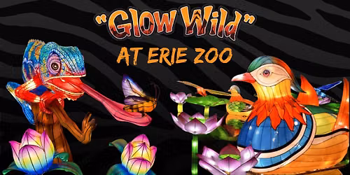 Glow Wild