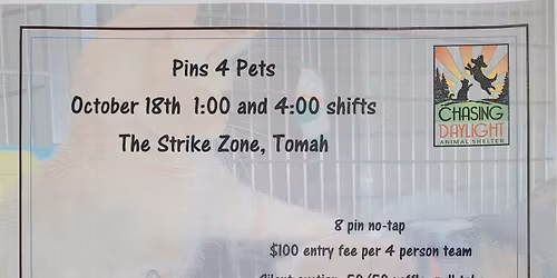 Pins 4 Pets