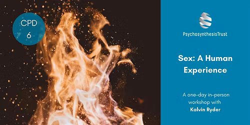 Sex: A Human Experience