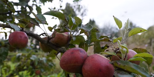 Mobiele fruitpers van Sapsappel in de Ecodemotuin!