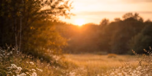 Beltane Seasonal Ritual