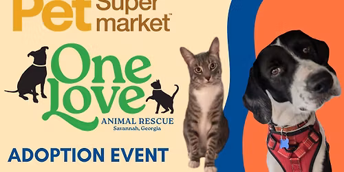 Adoption Event at Pet Supermarket