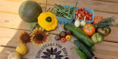 Organic Farm Tour & Seasonal Vegetable Harvest