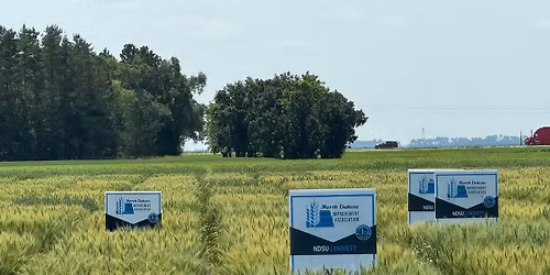 District\/Annual Meeting