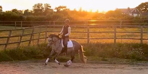 Classical Dressage Clinic with Mike Aylmore @ Grittenham, Chippenham, Wilts