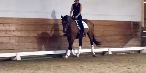 Fundamentals of Dressage Clinic with Shelley Mills July 2026