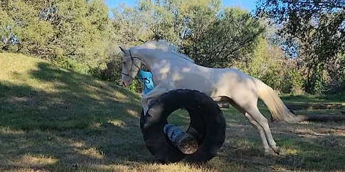 Obstacle Challenge Series - 2