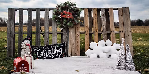 Christmas Mini\u2019s