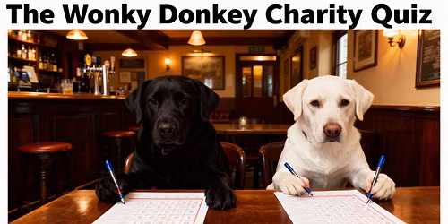 The Big Wonky Charity Quiz