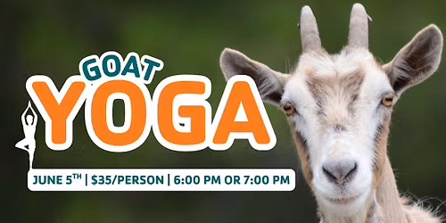 Goat Yoga
