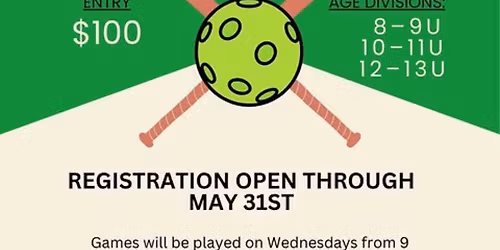 Wiffle Ball League
