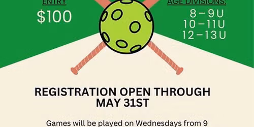 Wiffle Ball League