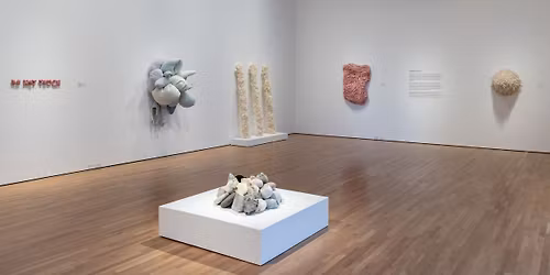 Artist Talk with Cindy Weil