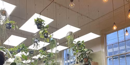 MUD HAUS X BOTANICAL BABE - Stoneware Plant Pot Workshop