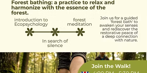 Forest Therapy - Waldbaden (Shinrin-Yoku \u68ee\u6797\u6d74)