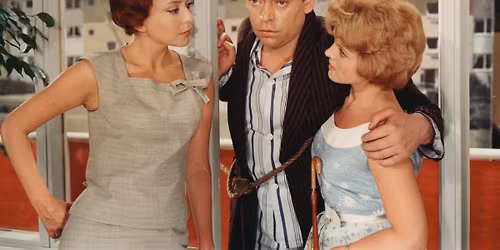 Cinemateket \/\/ St\u00f8v p\u00e5 hjernen