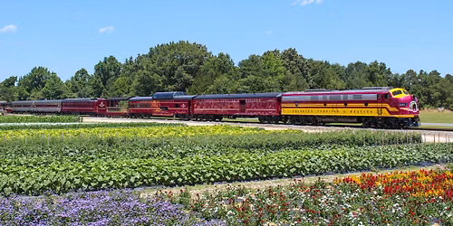 The Magenta Train Charlotte - Open House