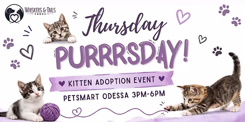 Thursday Purrsday